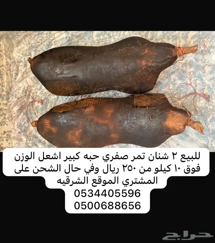 الدمام والخبر 1