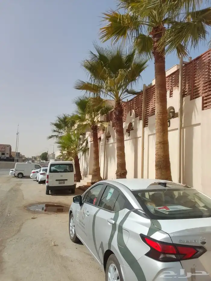 تكريب جميع انواع النخل العربي 1 3