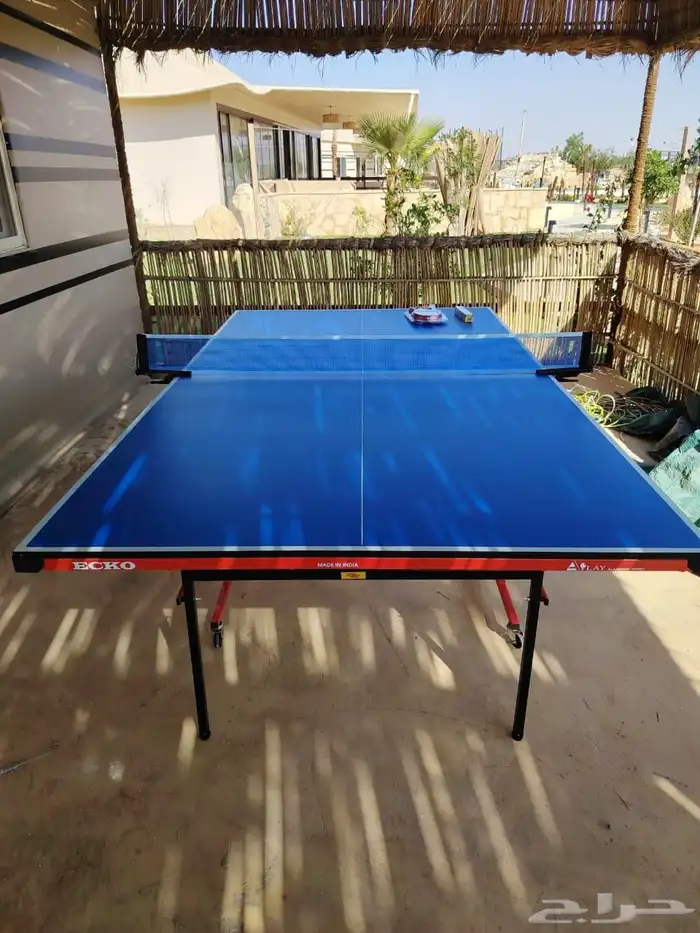فرفيره الهندية الاصلية الجديدة ولعاب ترفيه تنس دولي وبلياردو 1