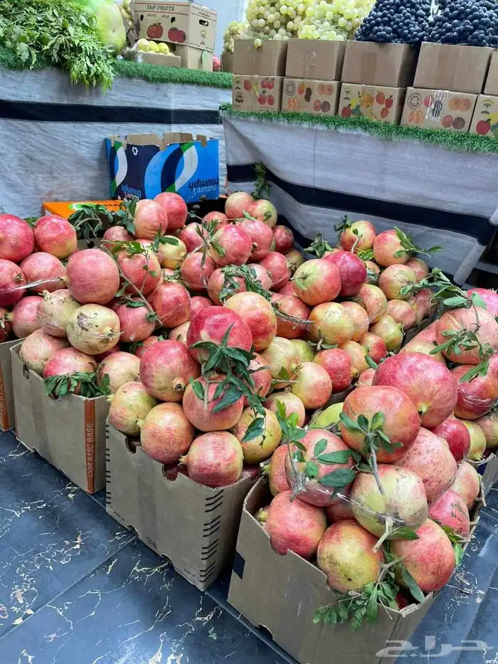 سياره مبرده توصيل فواكه الطائف جده مكه ارياض 0