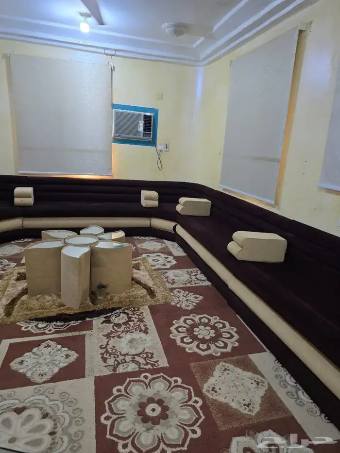 مجلس باطرمه محمود سعيد 0