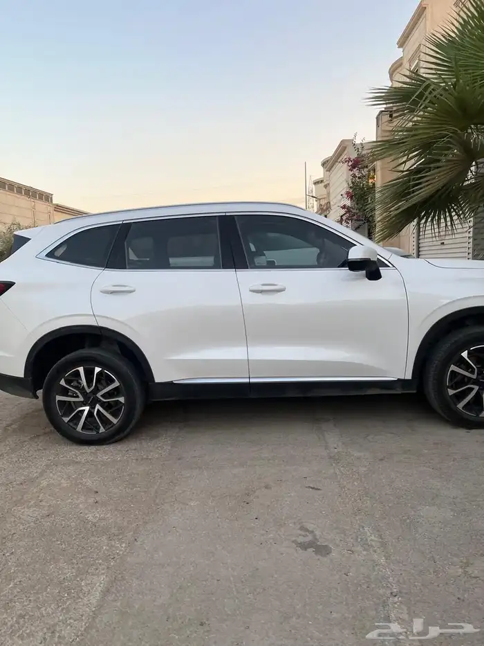 هافال 2022 للبيع 1