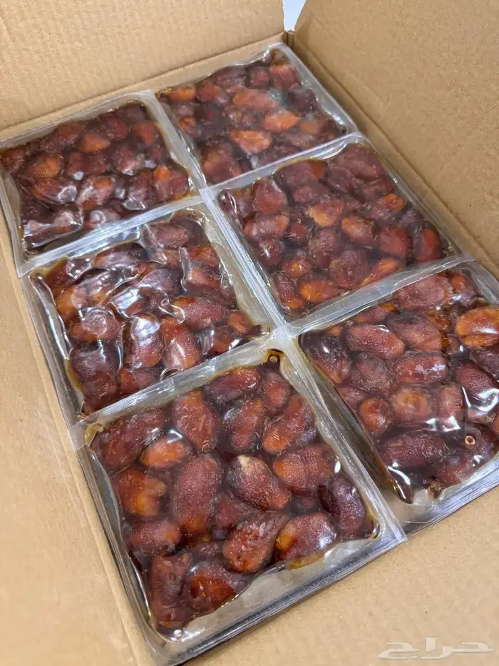 تمر خلاص انتاج هذي السنه 1447 4