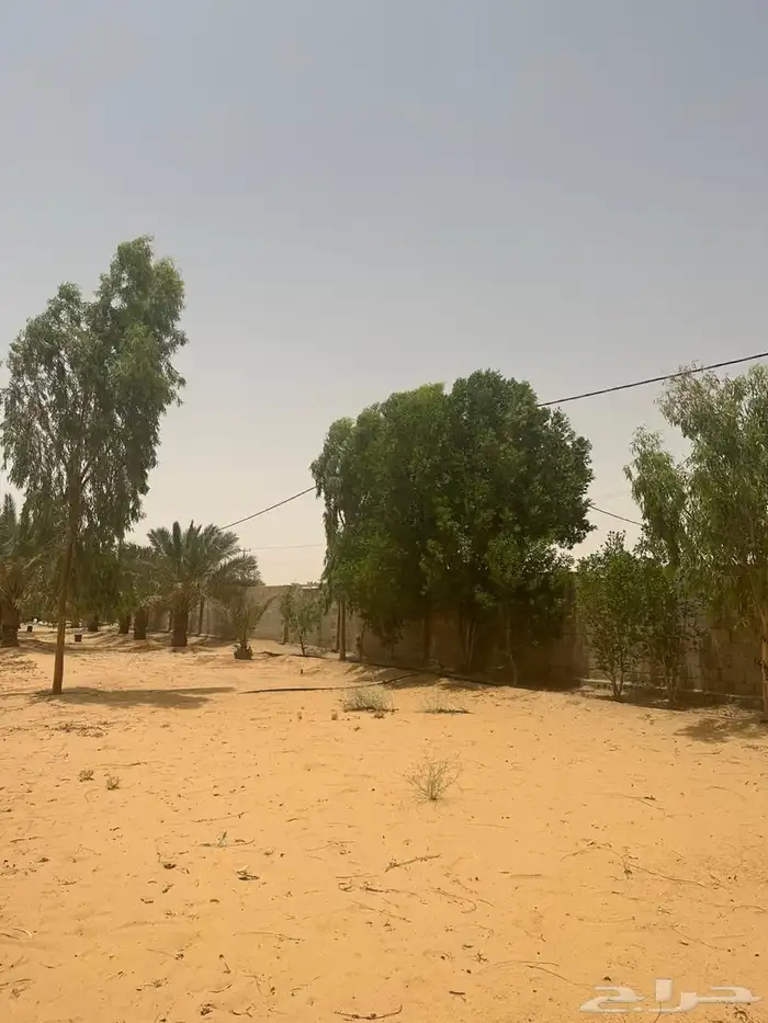 مزرعه واستراحة للبيع 43