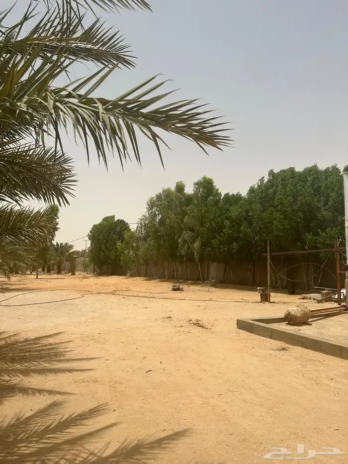 مزرعه واستراحة للبيع 39