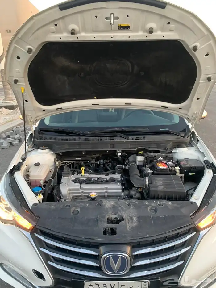 شانجان 7 13