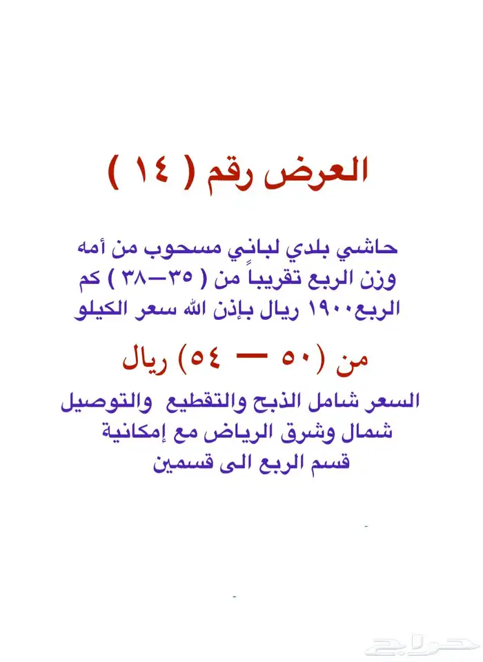 حاشي لباني مسحوب تحت امة البيع بالربع 3