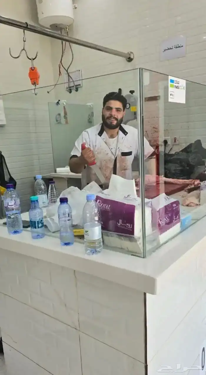 جزار معلم خبره كبيره محترف ف الحاشي والغنم والعجل 4