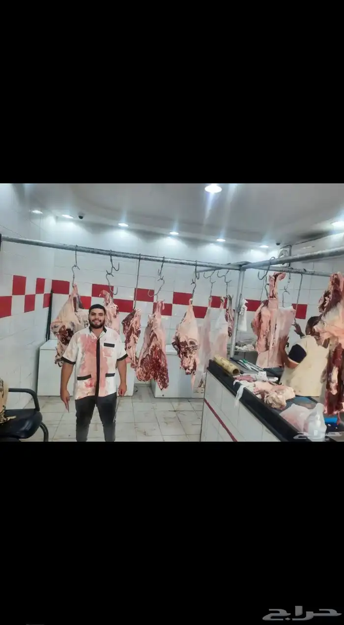 جزار محترف خبره كبيره ابحث عن عمل 4
