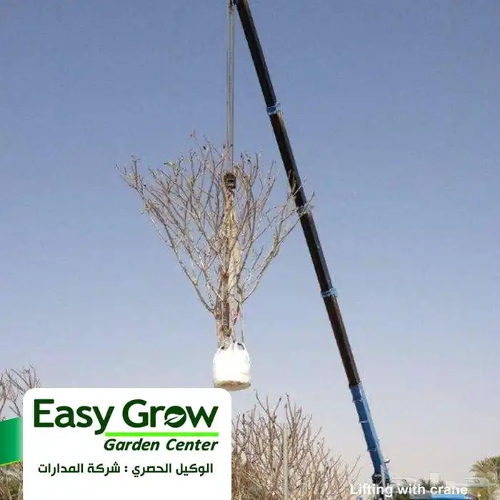 اكياس تشتيل بي احجام كبيره تصل الي 1000 لتر لسهوله النقل وال 8