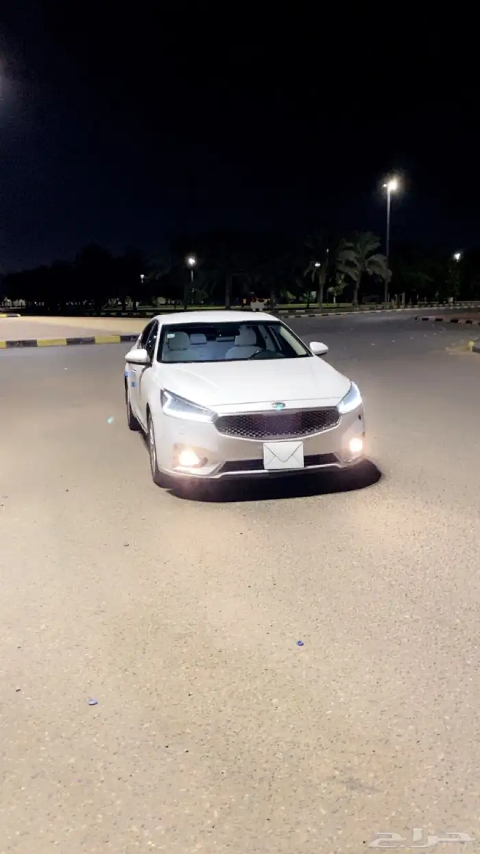 كادينزا 7
