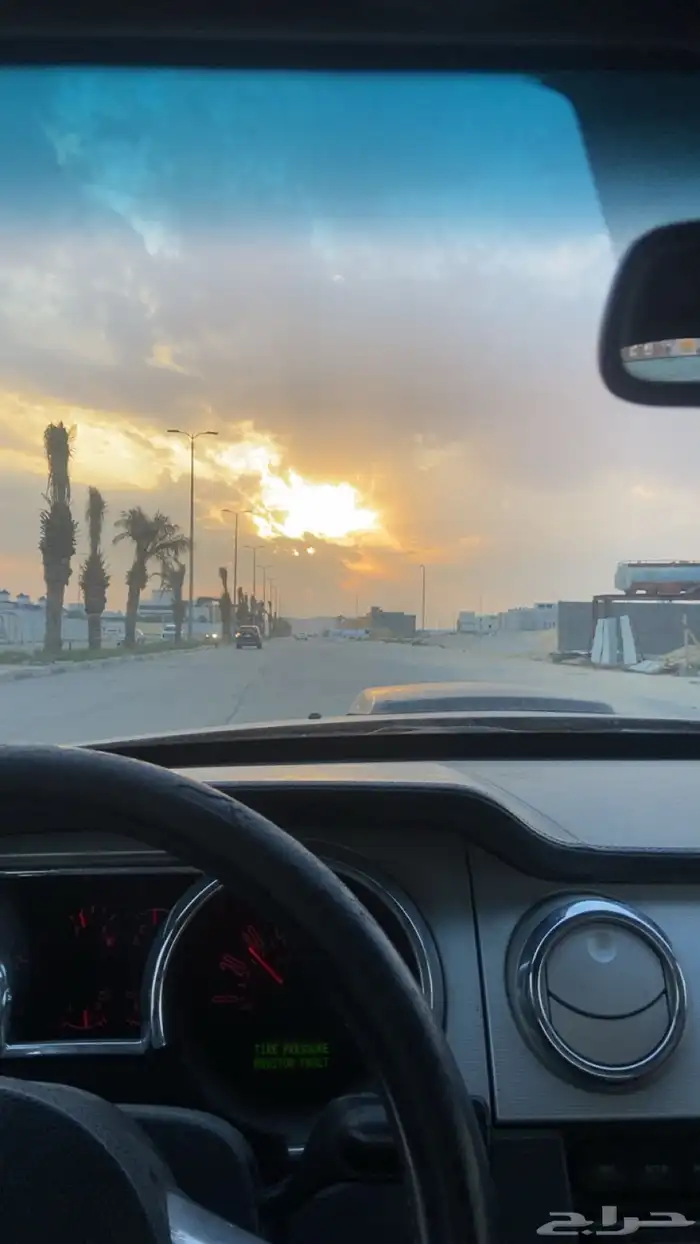 موستنج 5
