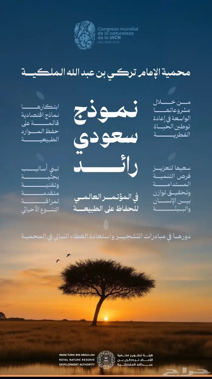 لاصدار ترخيص التخيم 0