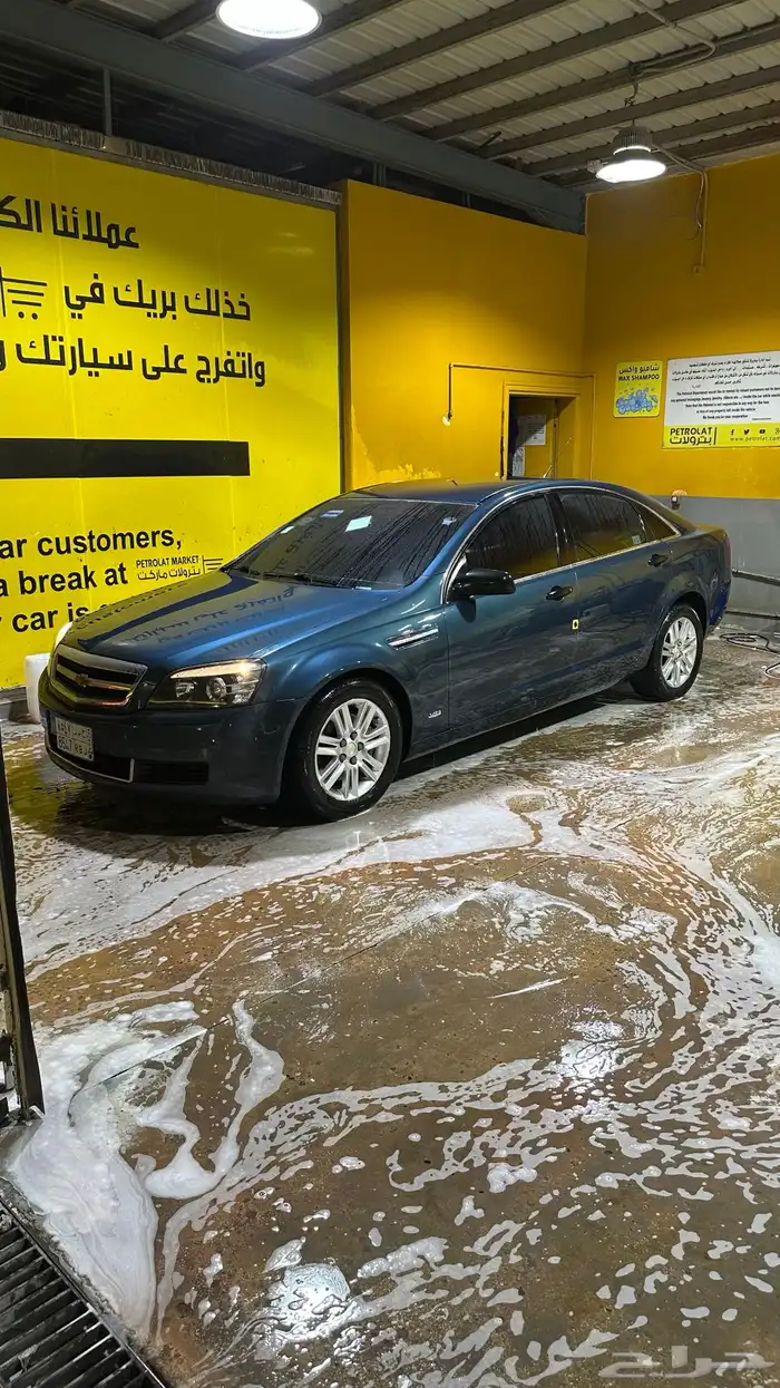 كابرس تركوازي 13 2