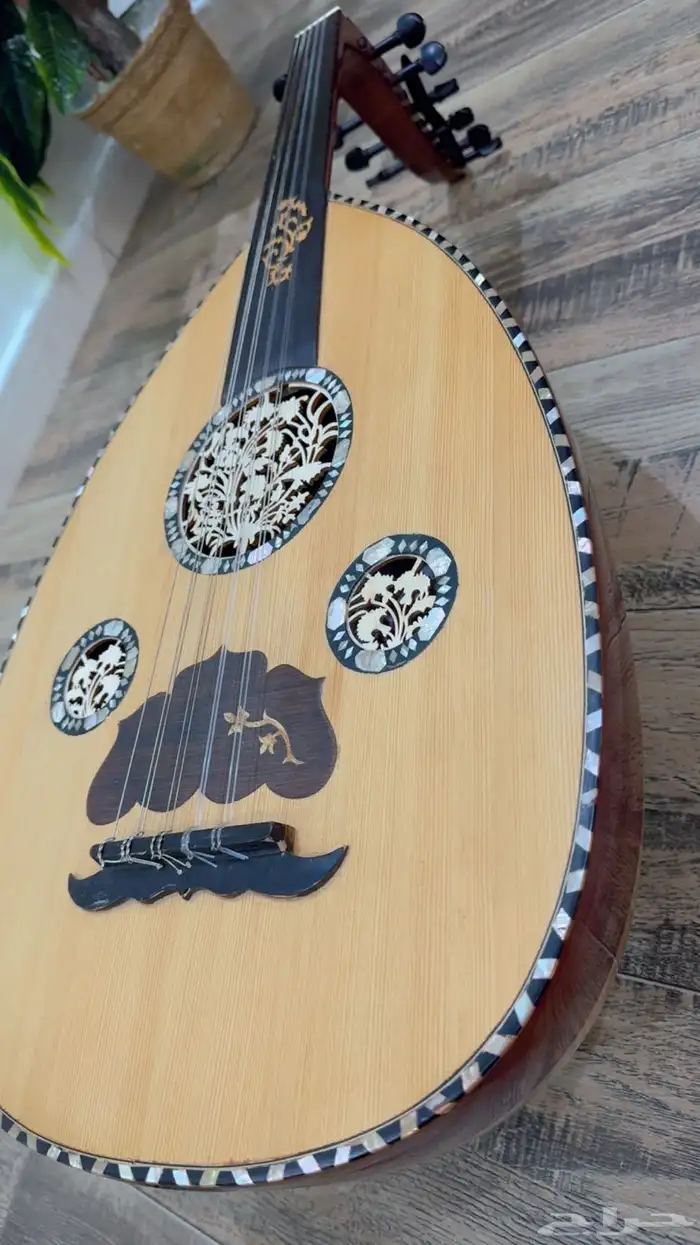 عود بحريني للبيع جديد استخدام خفيف 0