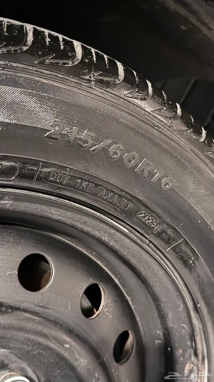 جنوط سوح وطيس ب 500 3