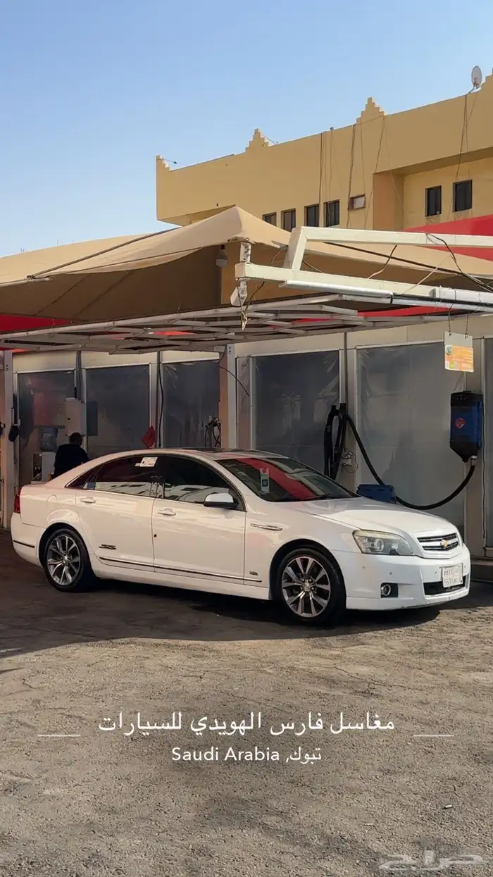 كابرس 2015 17