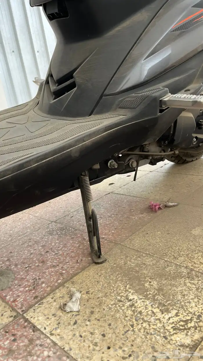 دباب العجيب (بطة) هونجو 17