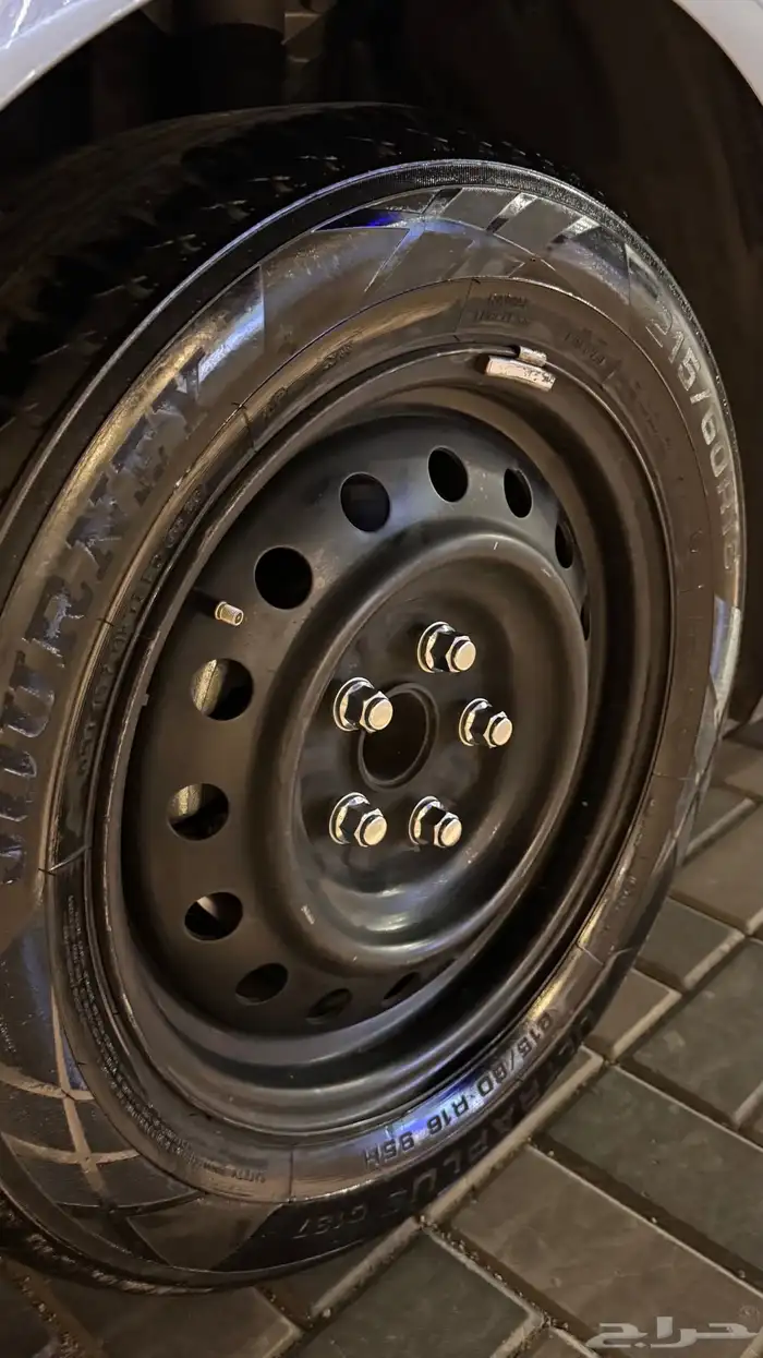 جنوط سوح وطيس ب 500 4