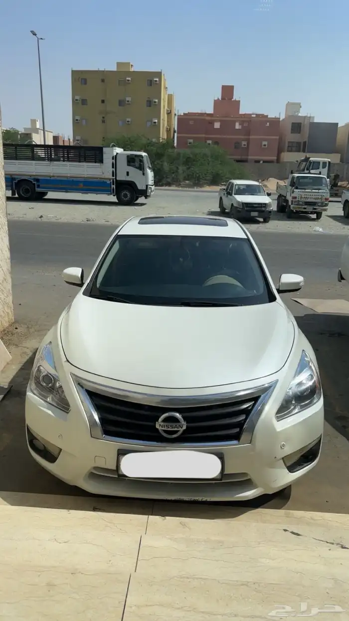 التيماء 0