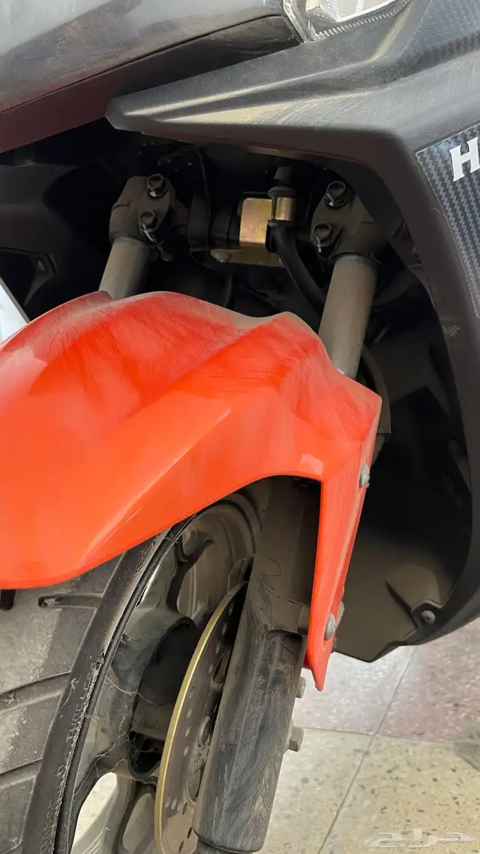 دباب العجيب (بطة) هونجو 15