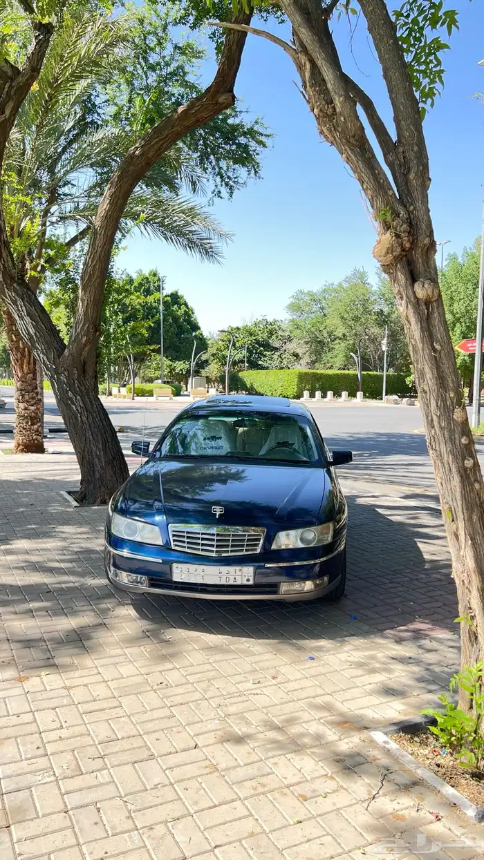 كابرس 2004 19
