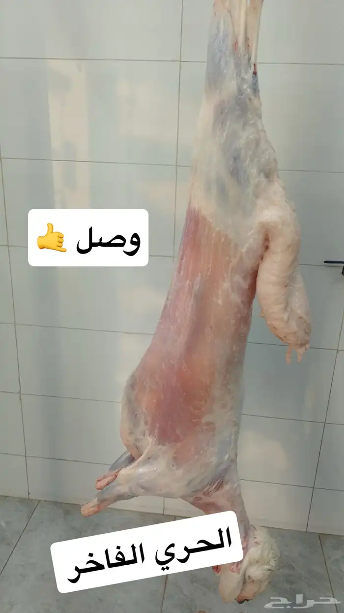 حشو فواخر و حريات كلها من مهد الذهب والسويرقيه 3