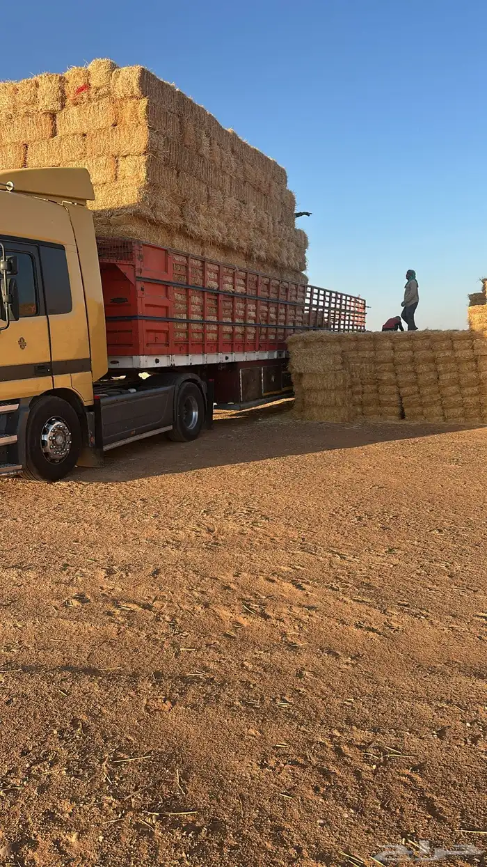 تريله جوانب 16 للنقل الحلال ول أعلاف  رقم الجوال 0