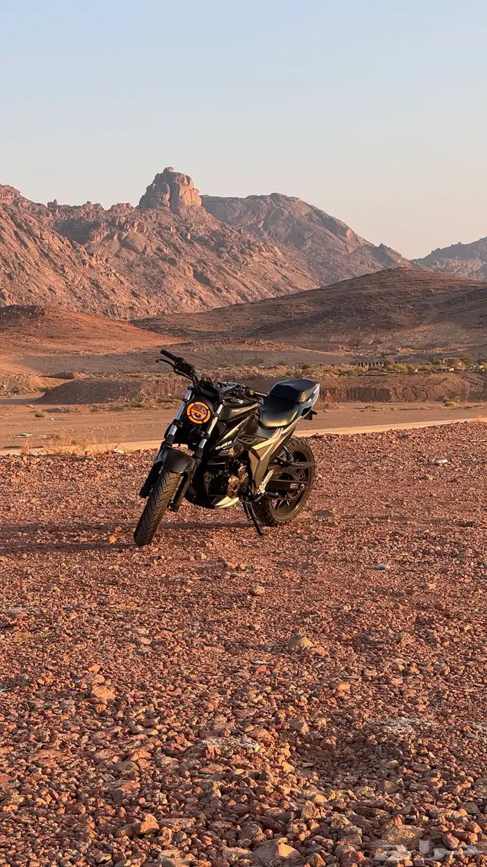 سوزوكي GIXXER 250 NAKED 2