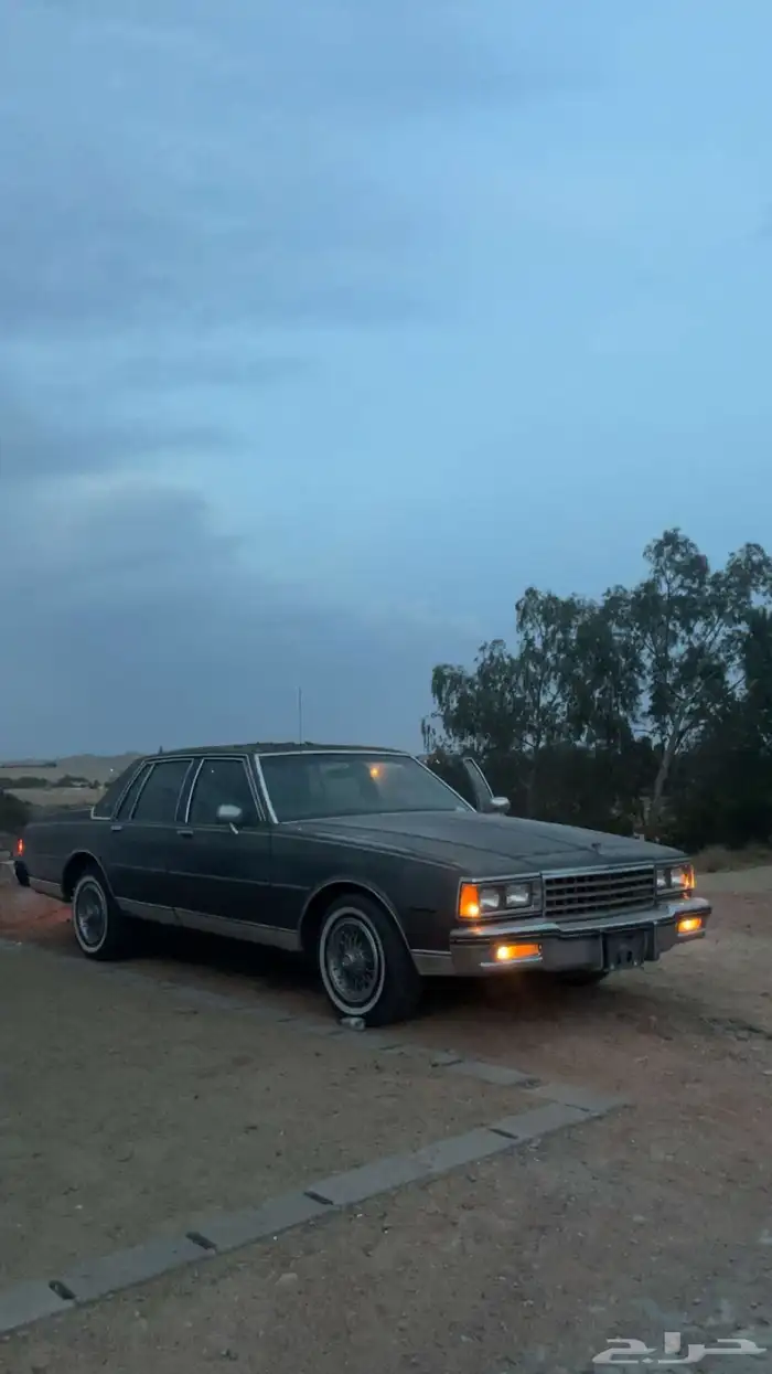 كابرس 85 لون رصاصي 3
