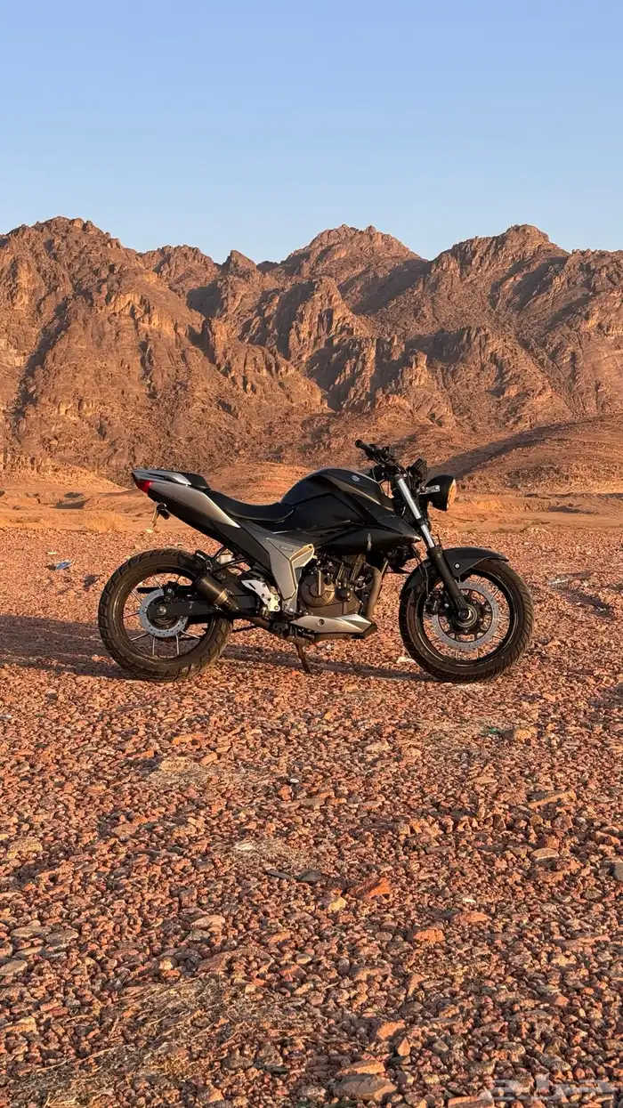سوزوكي GIXXER 250 NAKED 1
