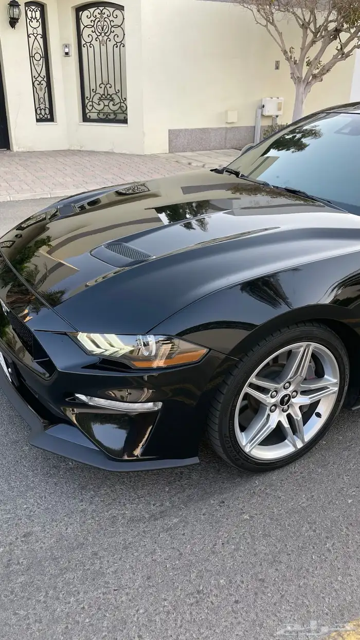 فورد موستنج GT 5.0 برفورمنس بكج 2020 8