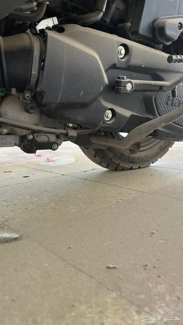 دباب العجيب (بطة) هونجو 19
