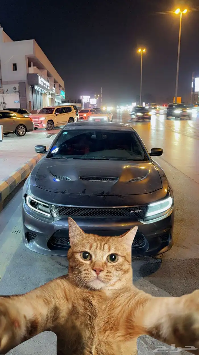 تشارجر نظيف مديل 15 6 سرندل 1