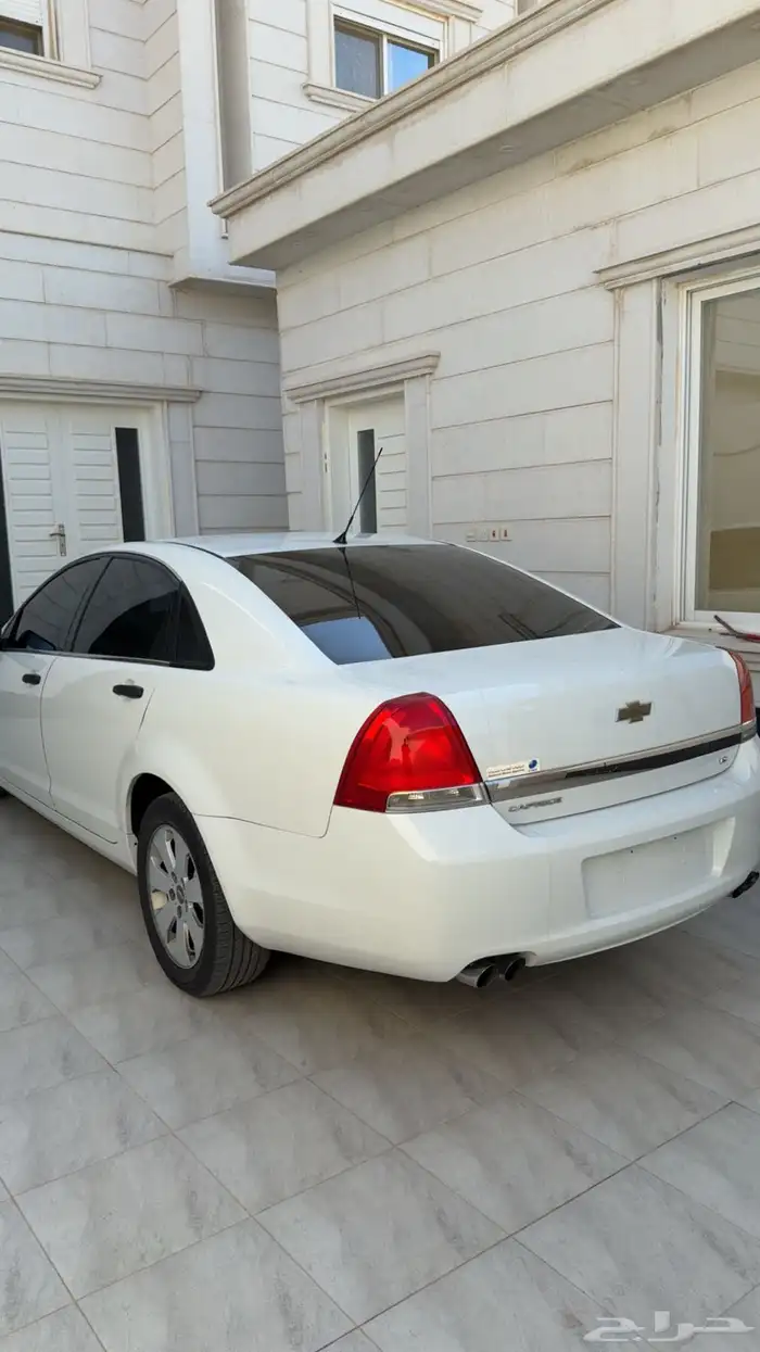 كابرس 2011 1