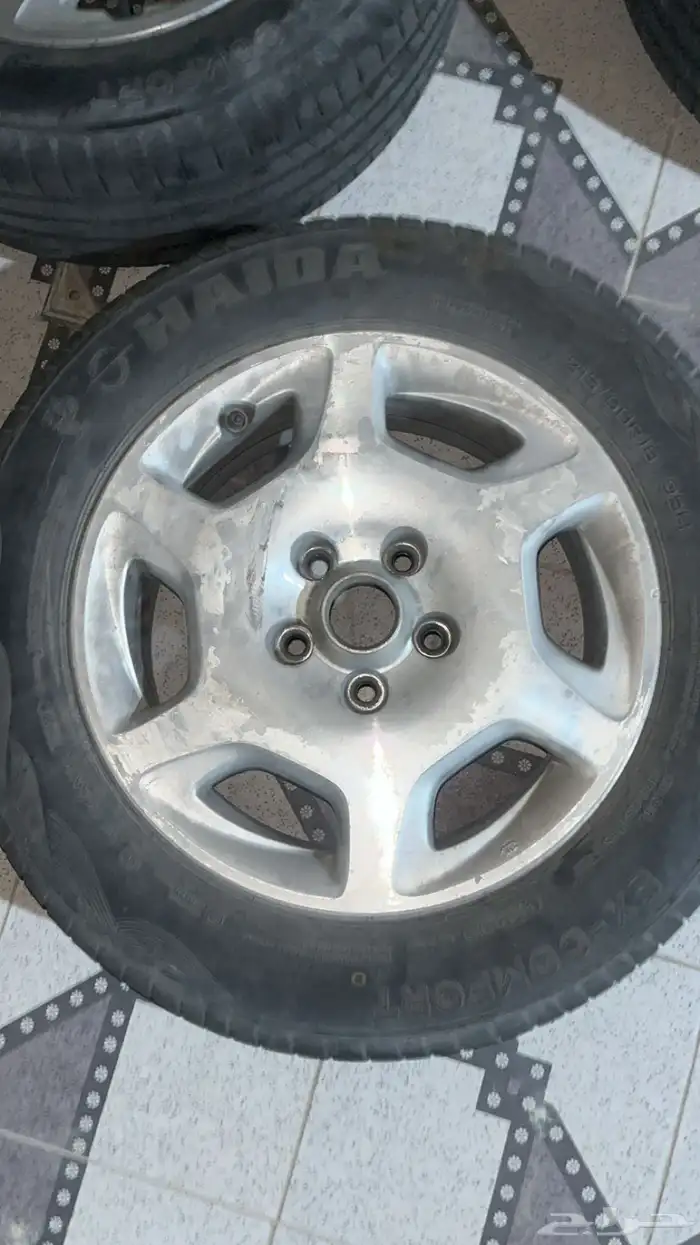 جنوط مكسيما للبيع 0