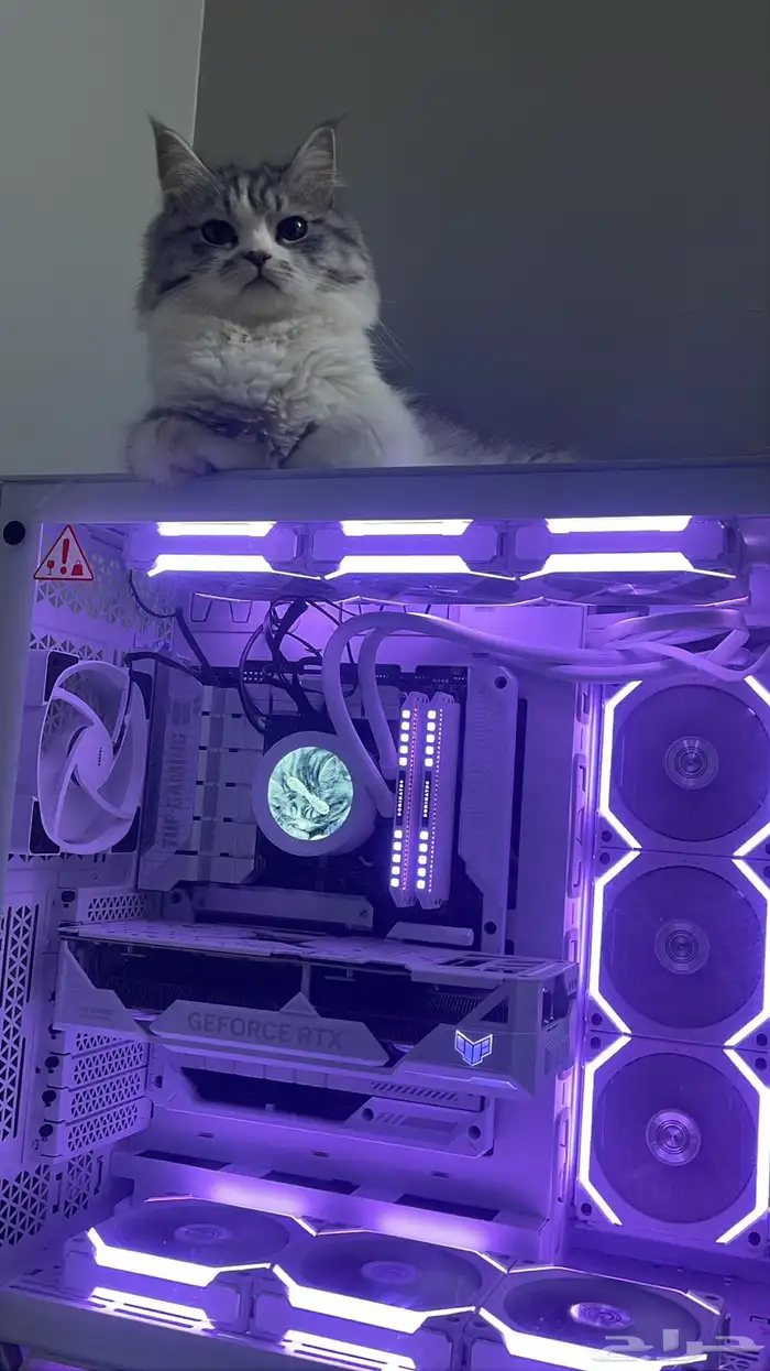 تجميعة بيسي احترافي باللون الأبيض 5