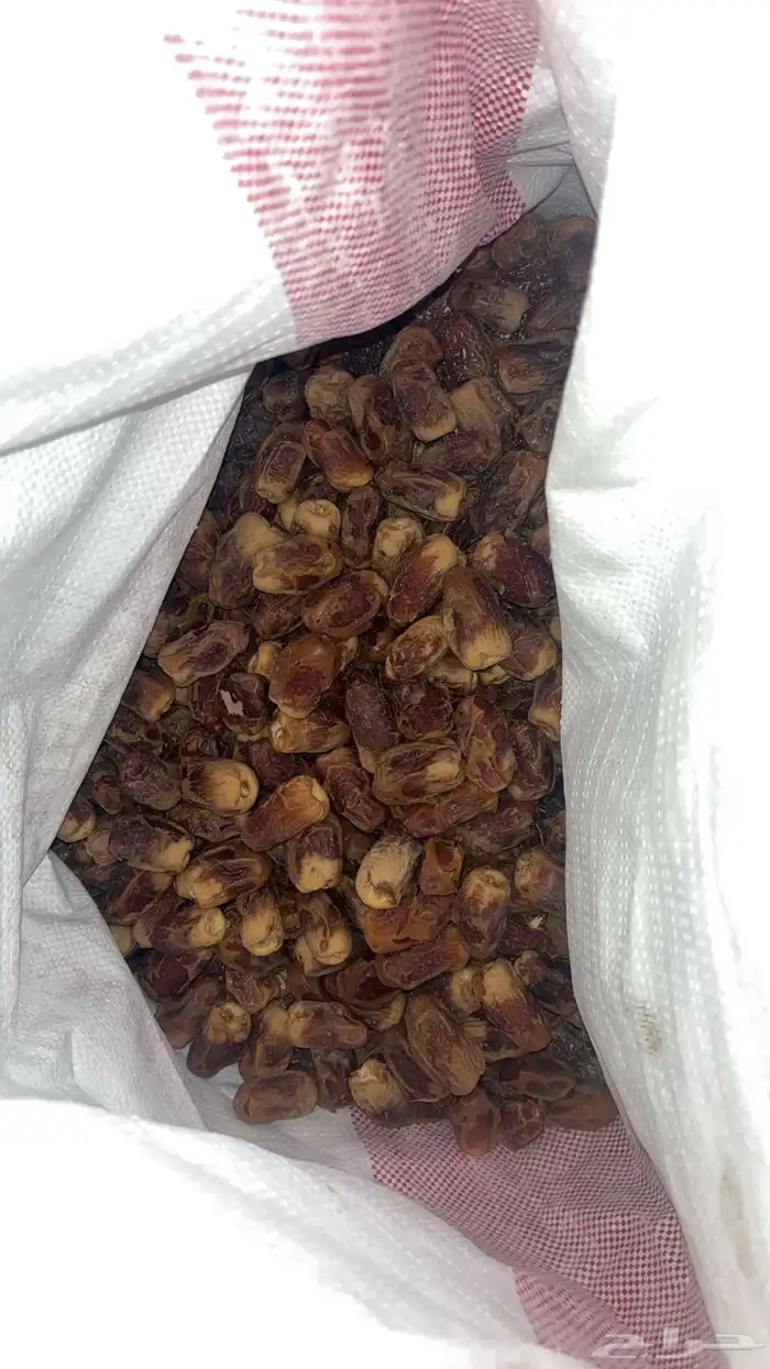 تمر ناشف للحلال 0