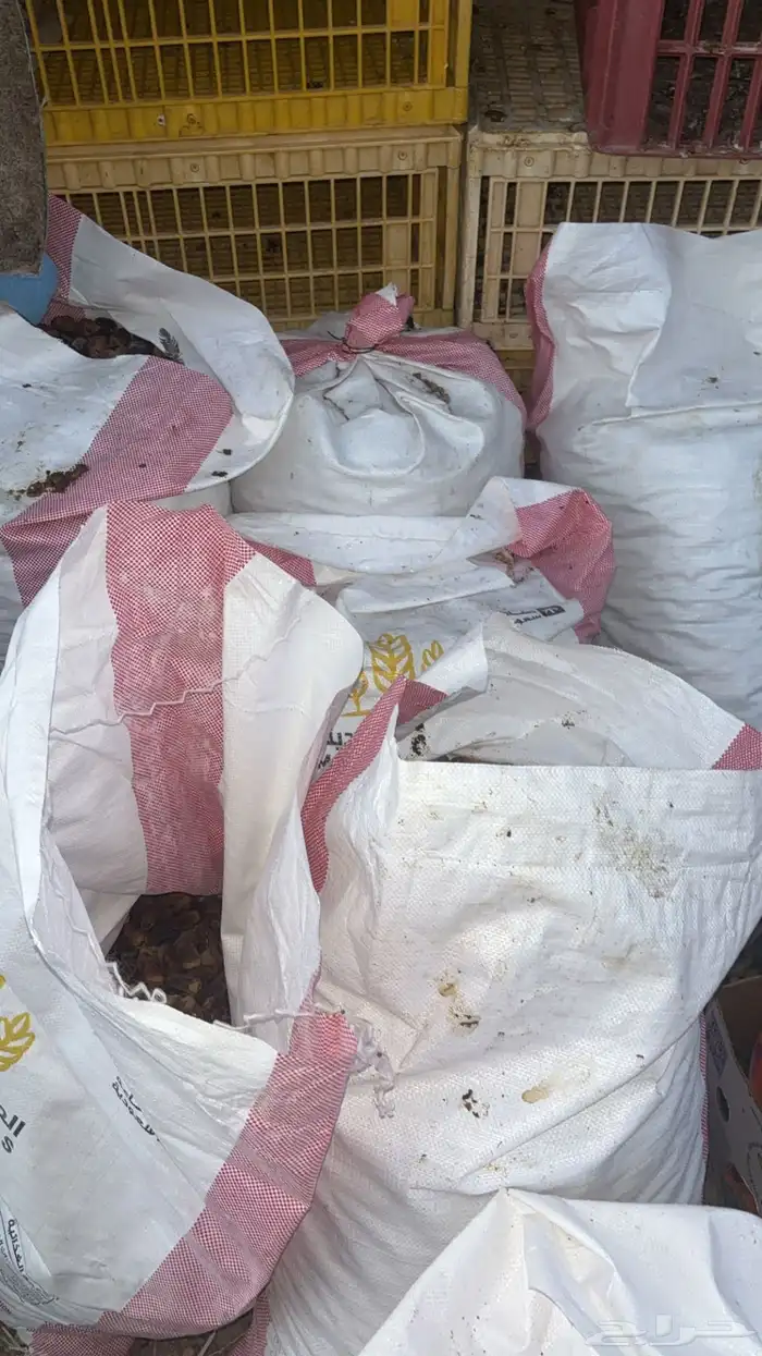 تمر ناشف للحلال 2