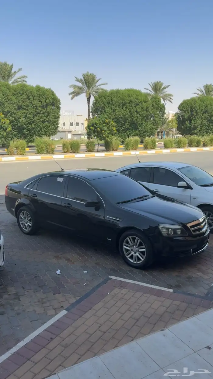 كابرس 2012 LS 7