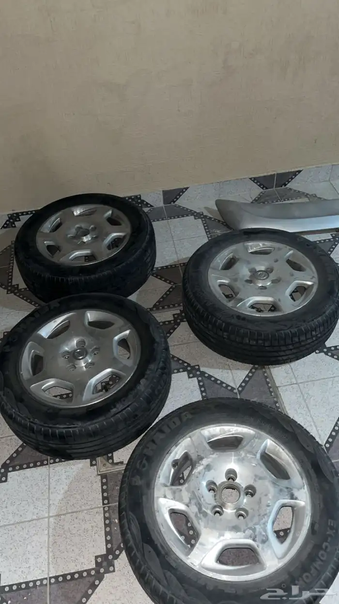 جنوط مكسيما للبيع 1