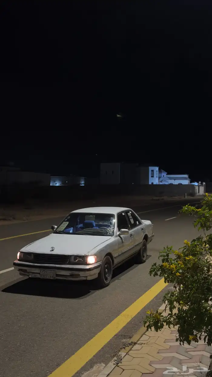 كراسيدا بديل 1989 بدون اوراق 1
