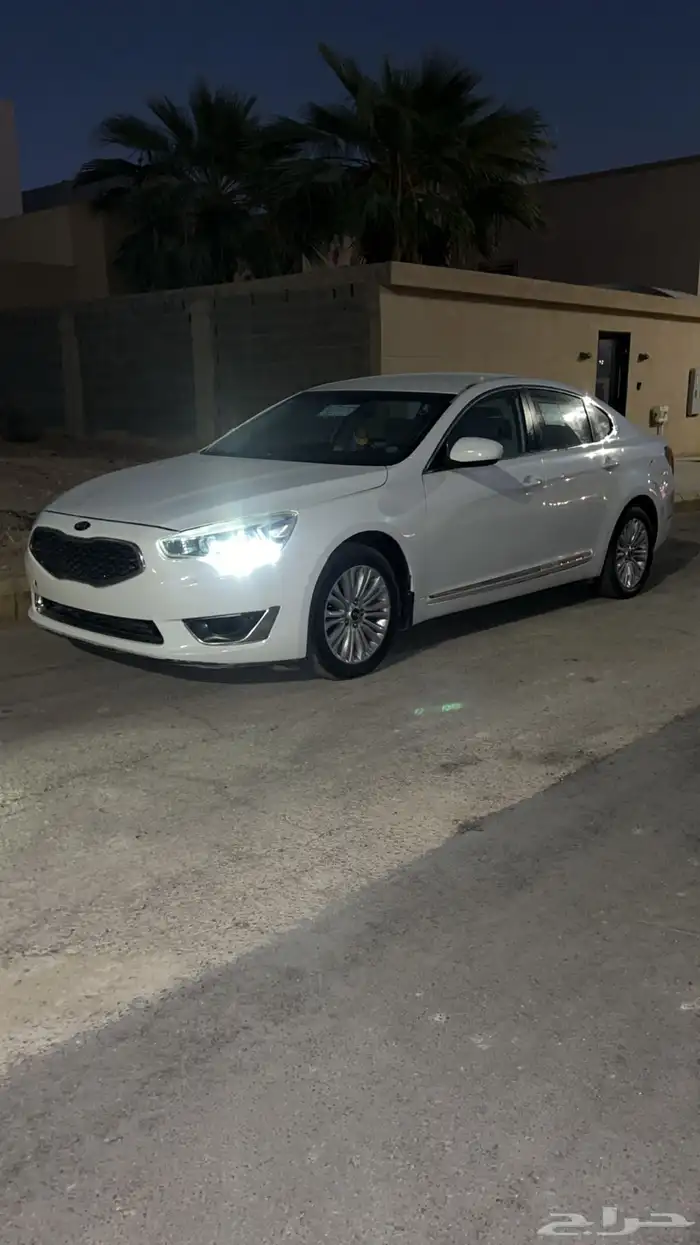 كادينزا 2016 3