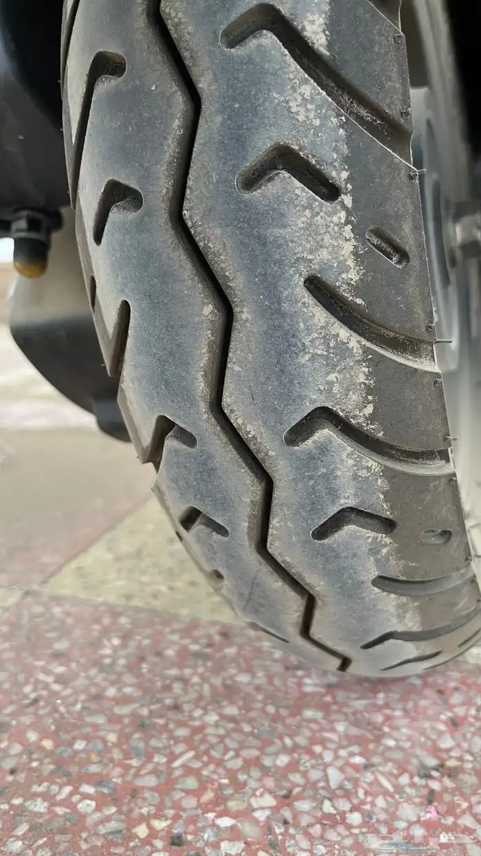 دباب العجيب (بطة) هونجو 33