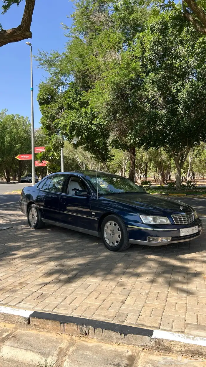 كابرس 2004 18