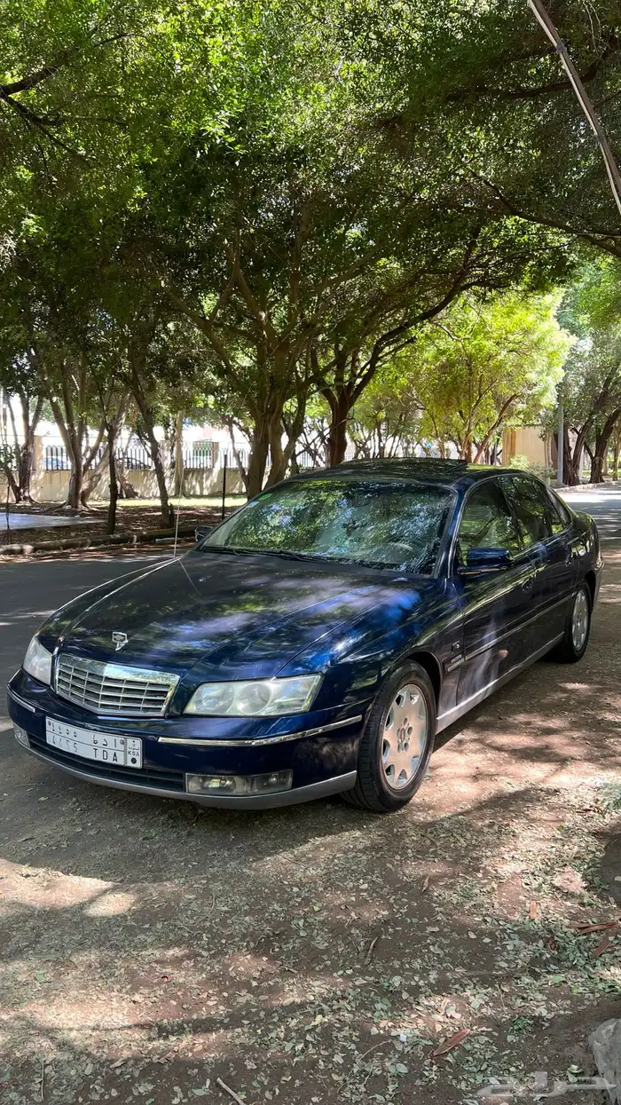 كابرس 2004 20