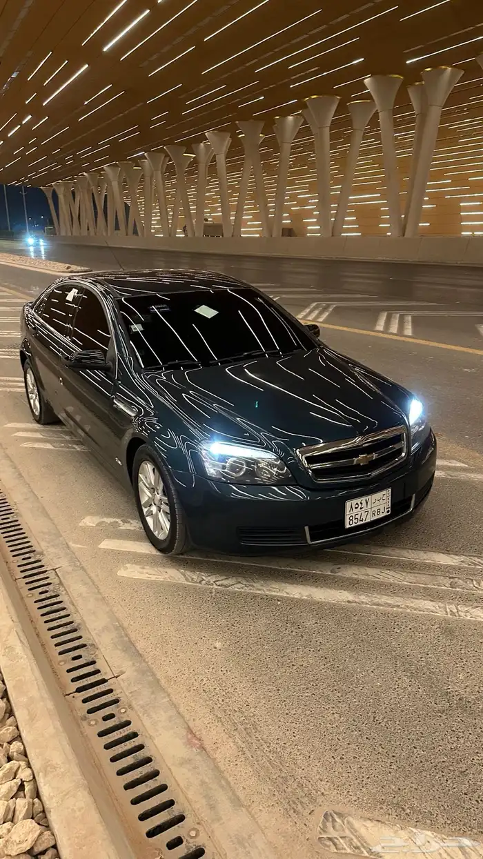 كابرس تركوازي 13 3
