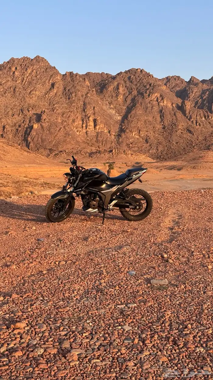 سوزوكي GIXXER 250 NAKED 4