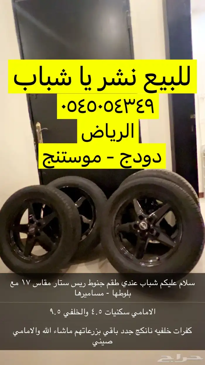ريس ستار 17 دودج موستنج 0