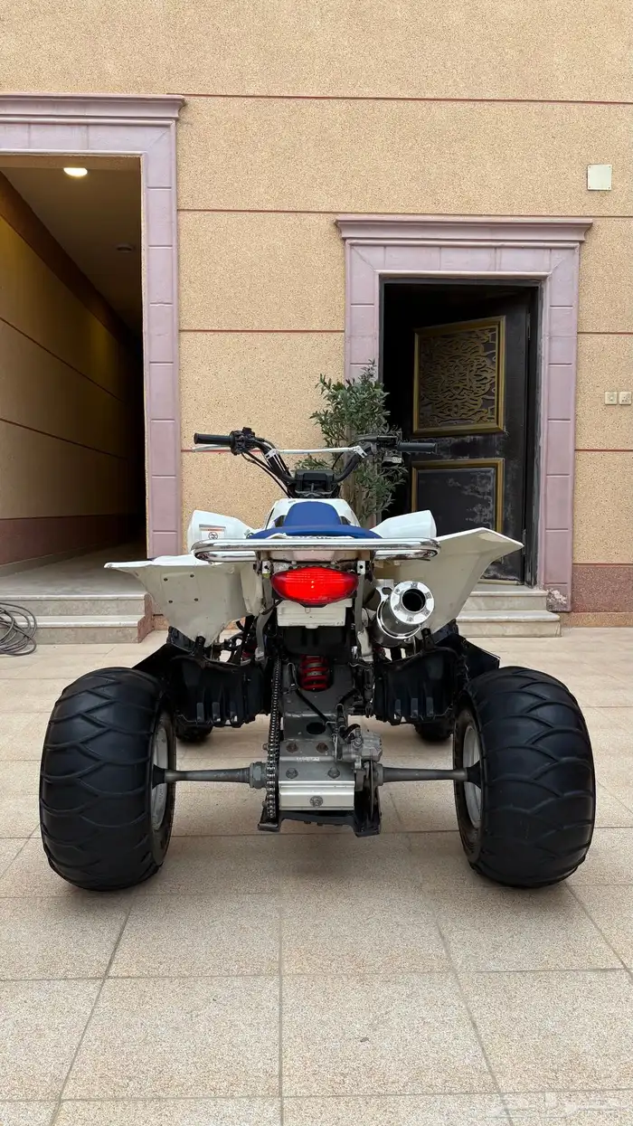 دباب 5
